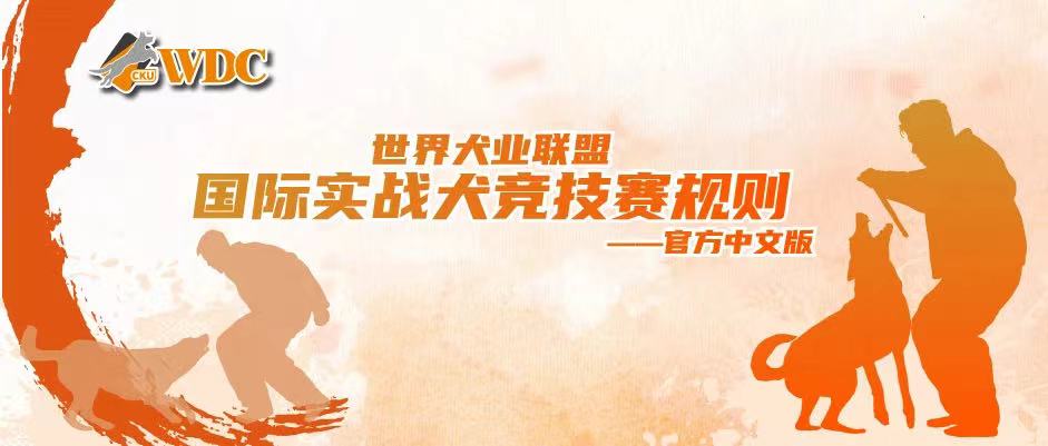 犬训练文章分享