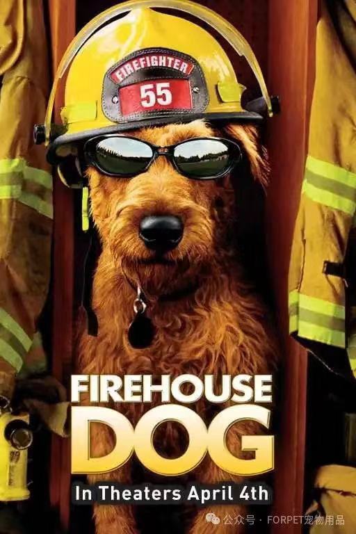 消防犬资讯
