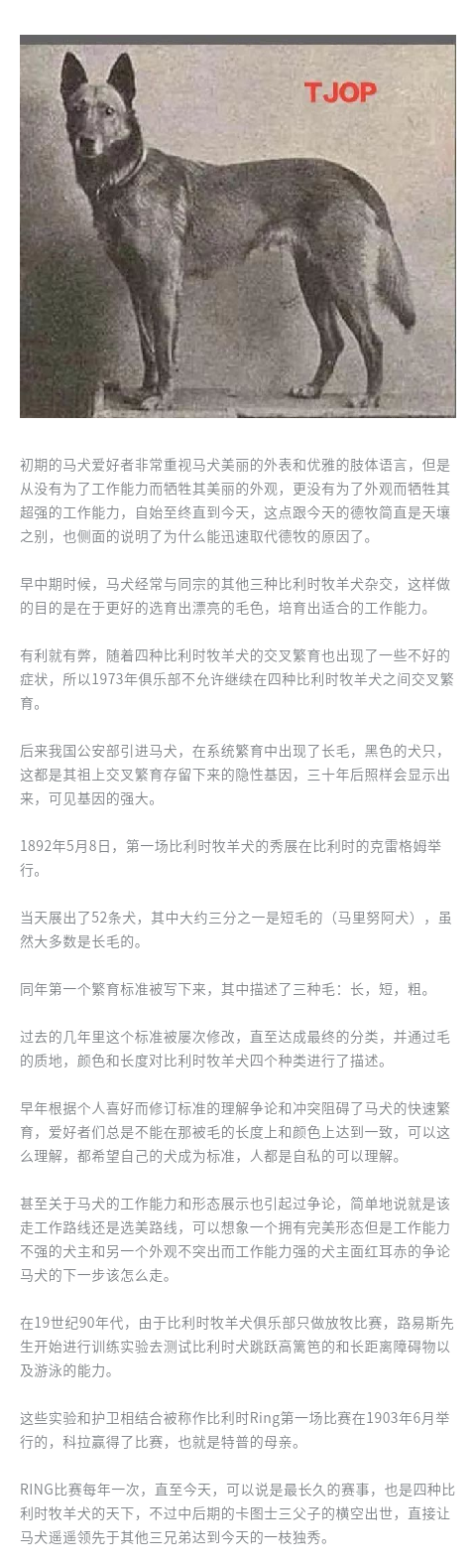 b9dd1d75b8e9f4022daab902d68dcb2c.png