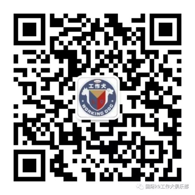 cca51dfc14ae1a264d08636f326dde45.jpeg