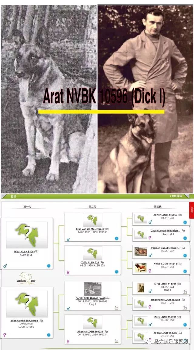 4227547ca6ff4031160fe7664275fa24.jpeg