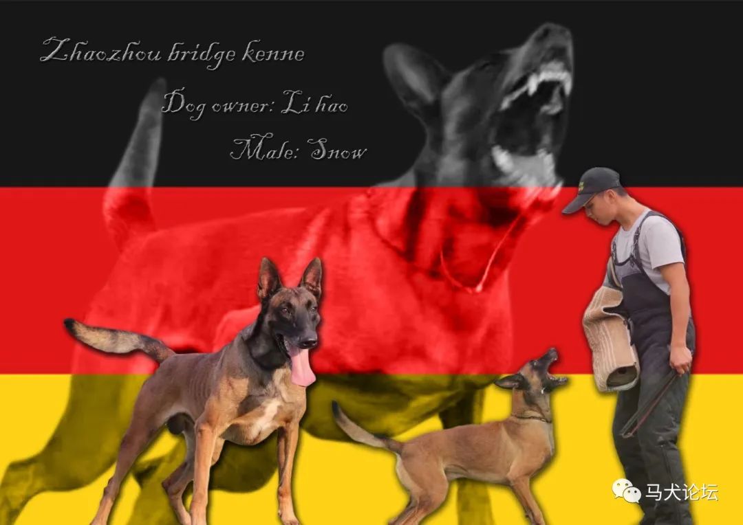 3a2fbe378700896cdd5ed80ef225aca7.jpeg