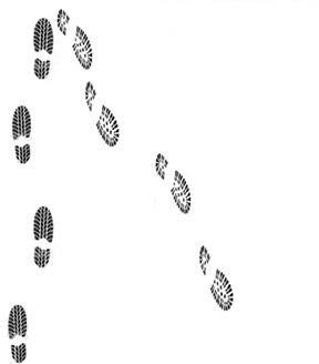 f01d06c8e66220a5d036c4e7d17c2013.png