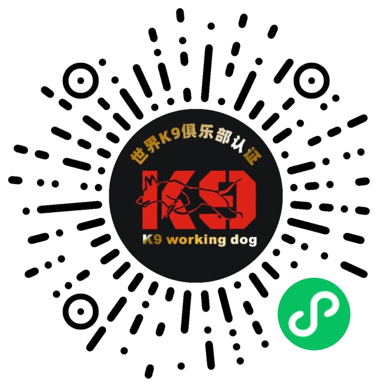 微信图片_20241227012928.jpg