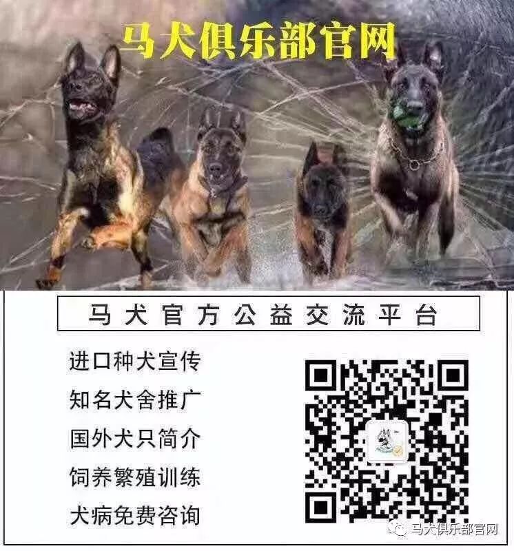 39043e7da45533660c14c60c742a2480.jpeg