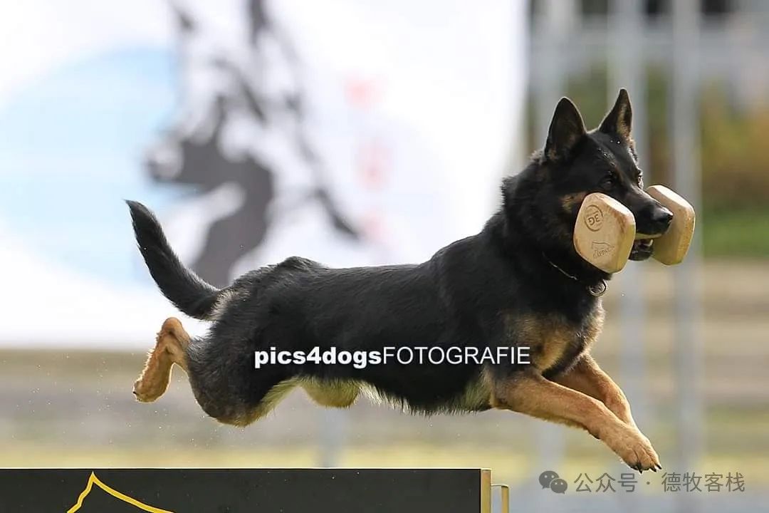 b17cf6ee9fec037cfa1c37343bb1f785.jpeg