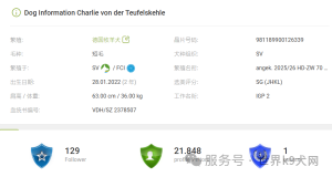 ff873fe43fcd499c4d5bfe8322282a88.png