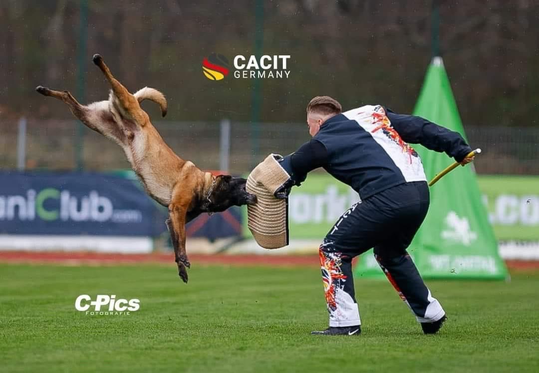 tmp_25213fadcac7c0a9eddda16f3b9e3361.jpg