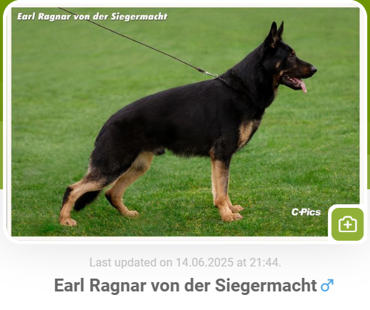 bd1465d213a7e5489ecab2da4bad32d9.png